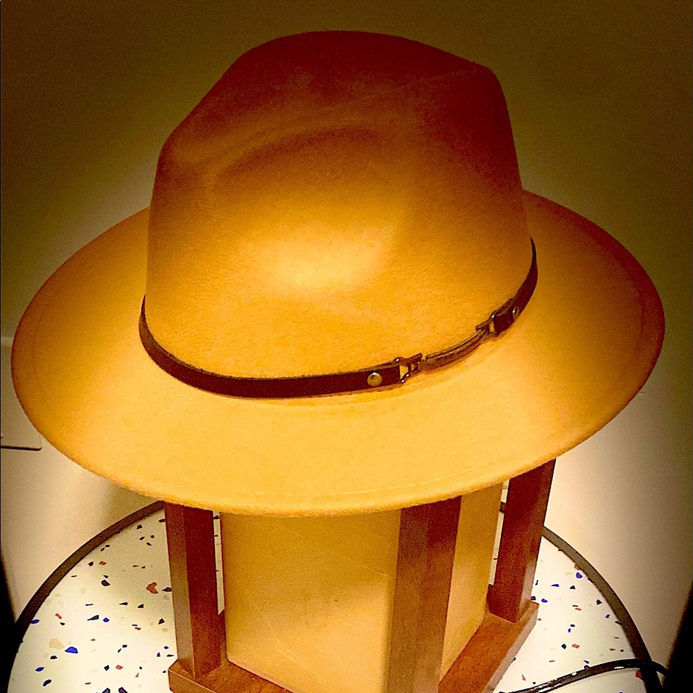 Excellent, 99.9% NewONCEUsed Einskey Felt Fedora Hat
